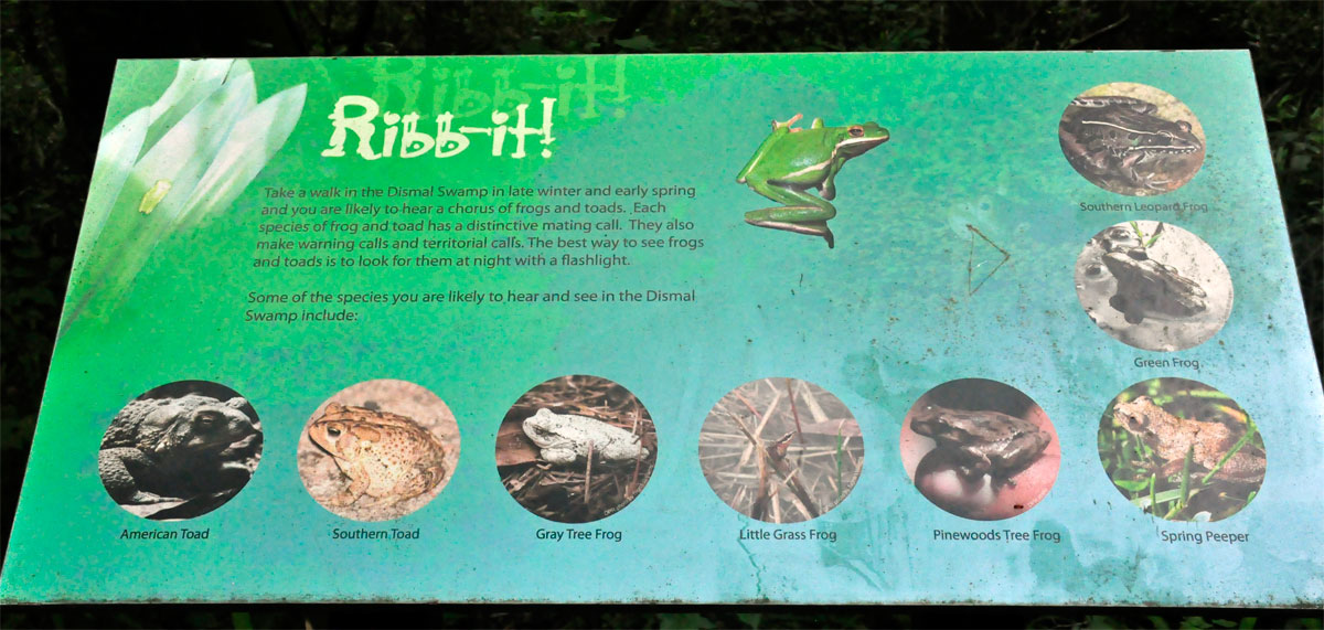 sign about toads and frogs